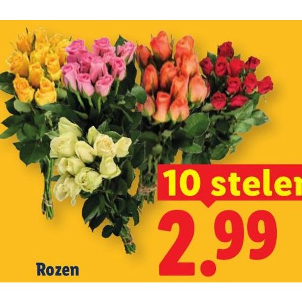 Rozen