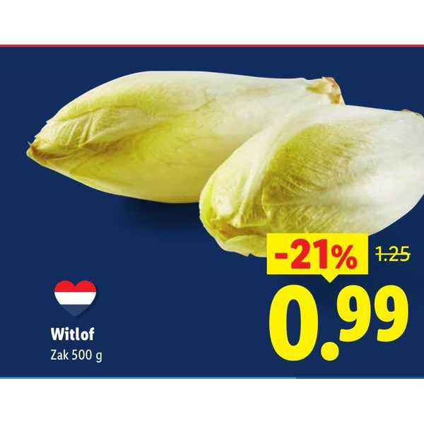 Witlof