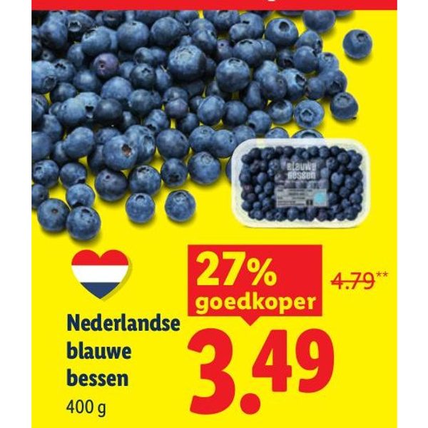 Nederlandse blauwe bessen