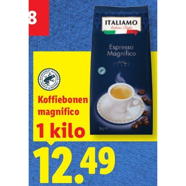 Koffiebonen magnifico
