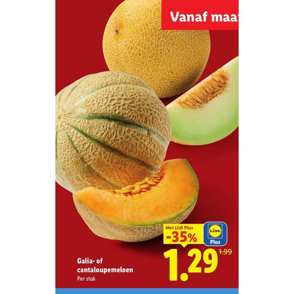 Galia- of cantaloupemeloen