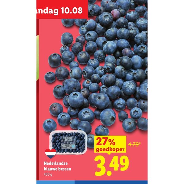 Nederlandse blauwe bessen