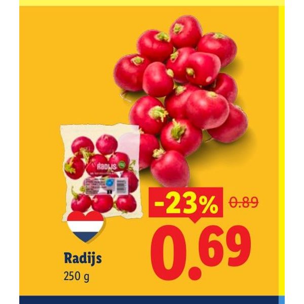 Radijs