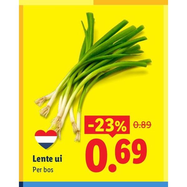 Lente ui