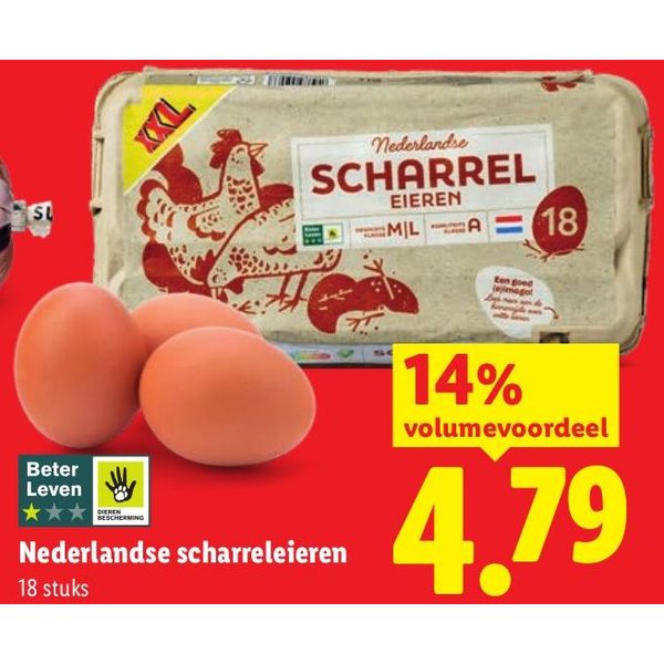 Nederlandse scharreleieren