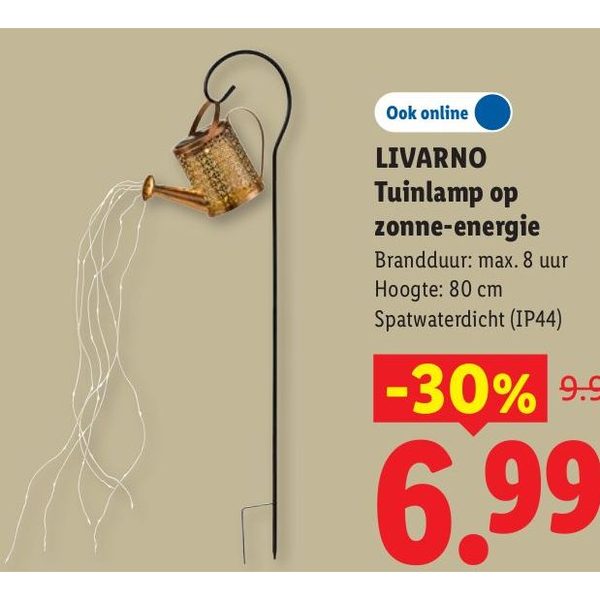 LIVARNO Tuinlamp op zonne-energie