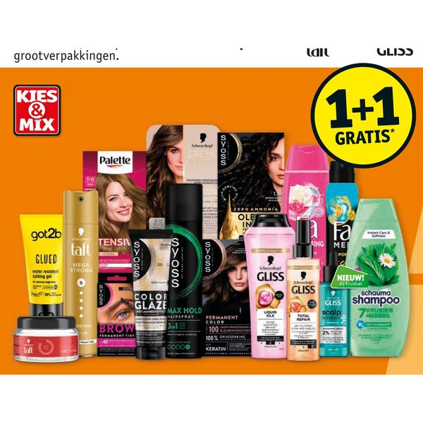 Schwarzkopf, Syoss, Fa, Schauma, Got2b & Palette assortiment