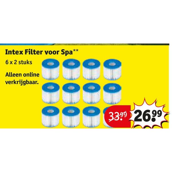 Intex Filter voor Spa