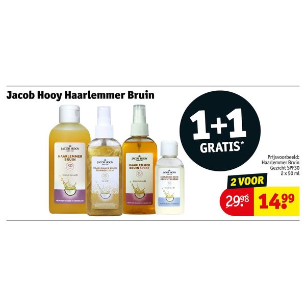 Jacob Hooy Haarlemmer Bruin