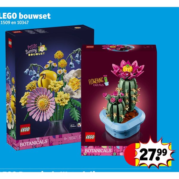 LEGO Botanicals Petite Sunny Bouquet