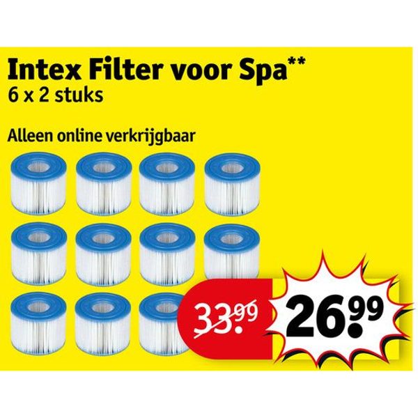 Intex Filter voor Spa