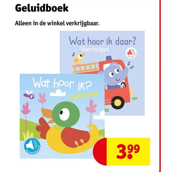 Geluidboek