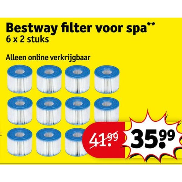 Bestway filter voor spa