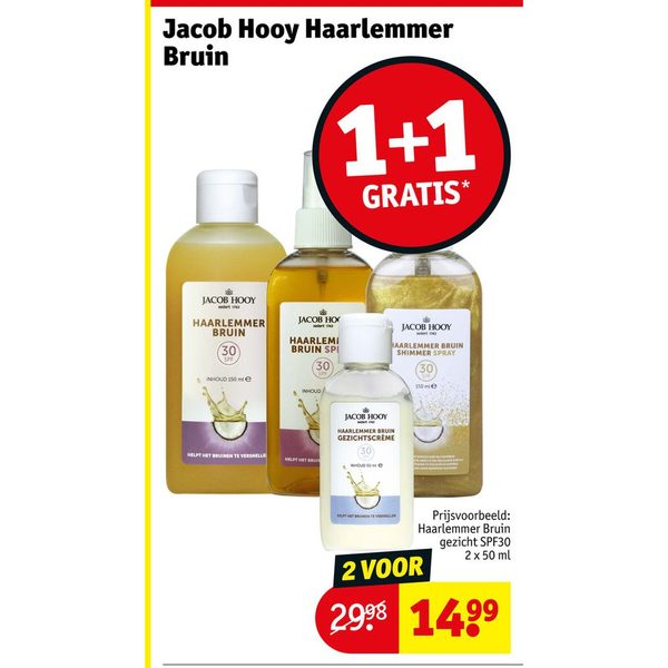 Jacob Hooy Haarlemmer Bruin