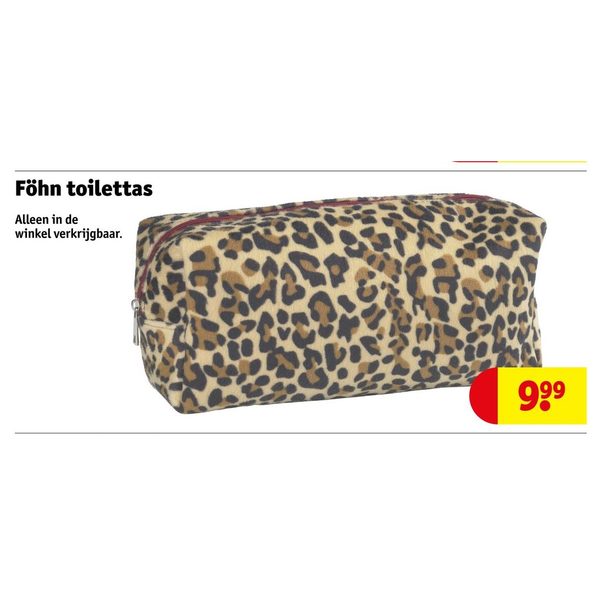 Föhn toilettas