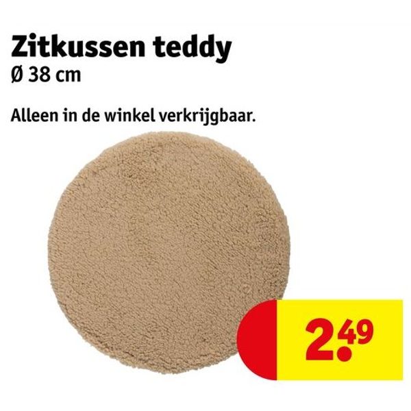 Zitkussen teddy