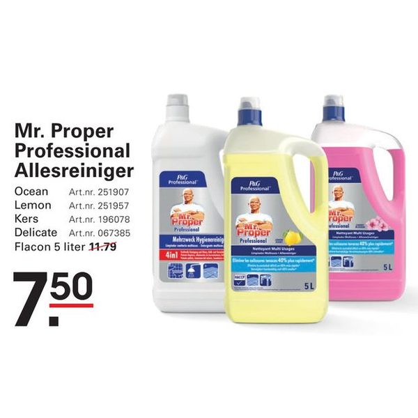 Mr. Proper Professional Allesreiniger