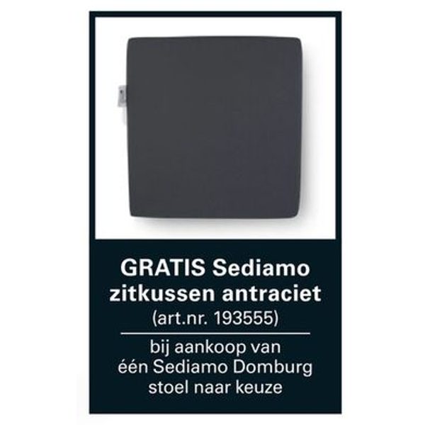 Gratis Sediamo zitkussens