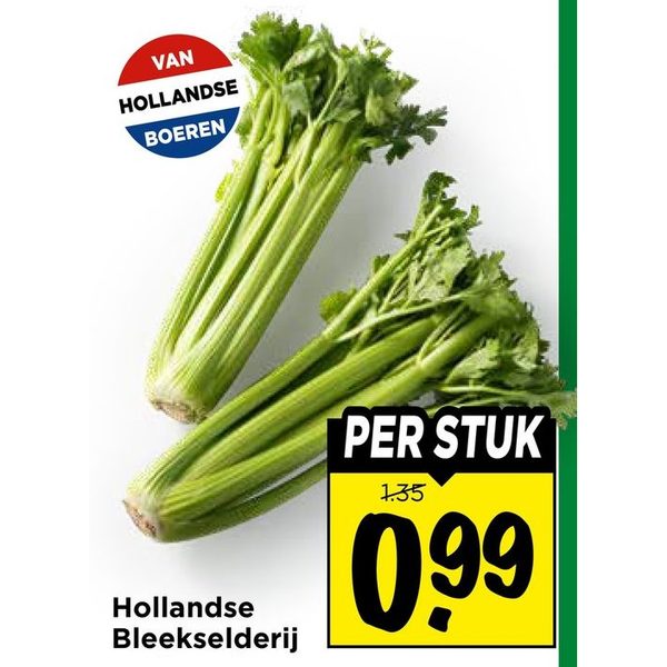 Hollandse Bleekselderij