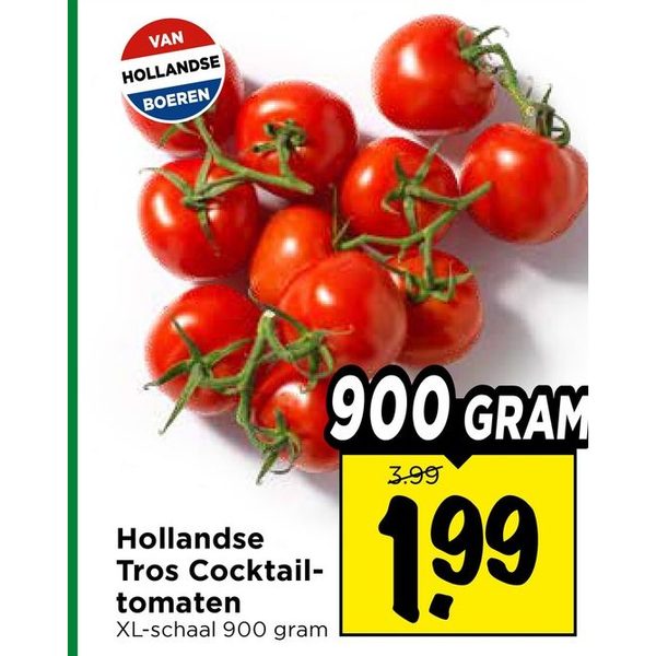 Hollandse Tros Cocktail-tomaten