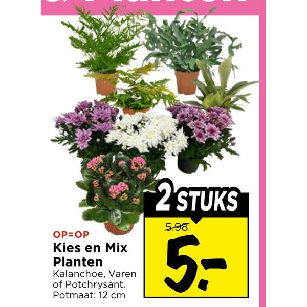 Kies en Mix Planten