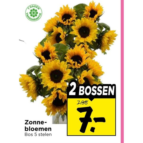 Zonnebloemen