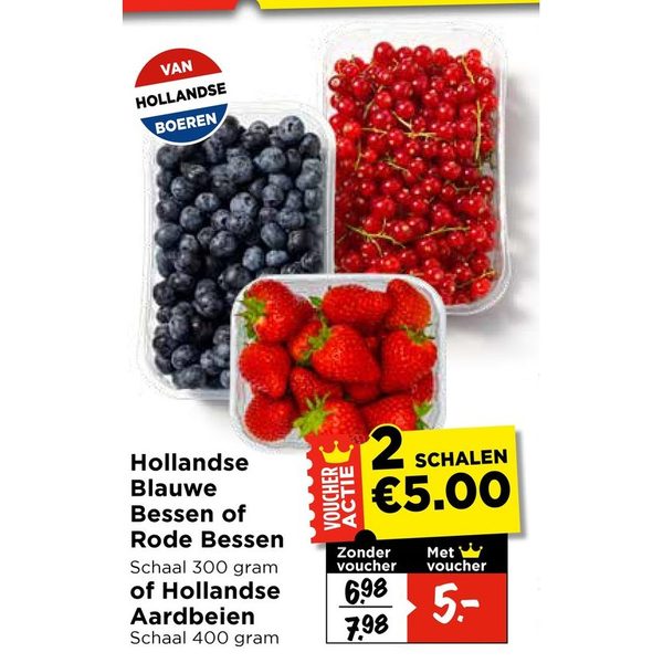 Hollandse Blauwe Bessen, Rode Bessen of Hollandse Aardbeien