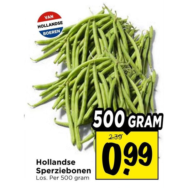 Hollandse Sperziebonen