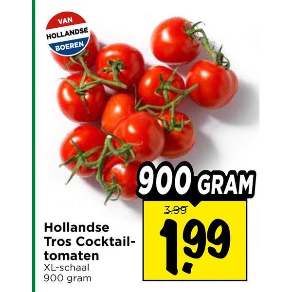 Hollandse Tros Cocktail-tomaten