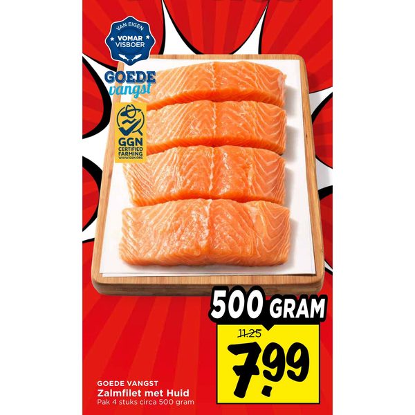 Zalmfilet met Huid