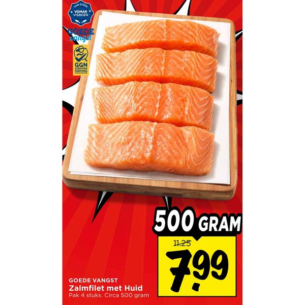 Zalmfilet met Huid