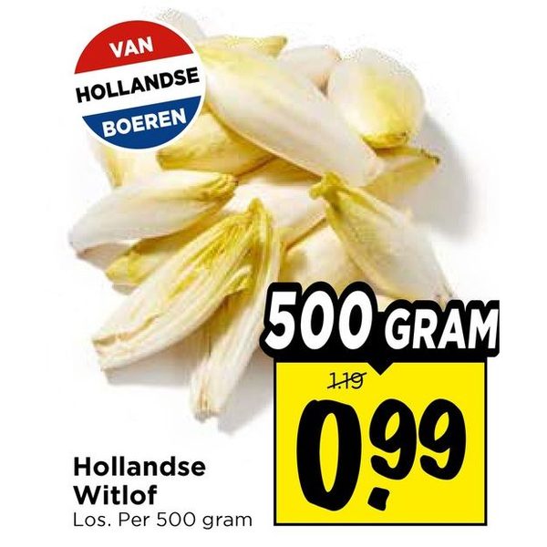 Hollandse Witlof