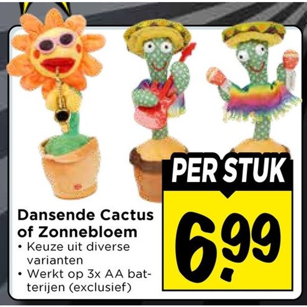 Dansende Cactus of Zonnebloem