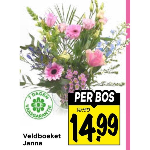 Veldboeket Janna