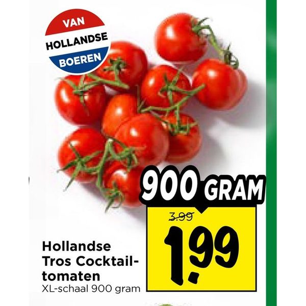 Hollandse Tros Cocktail-tomaten