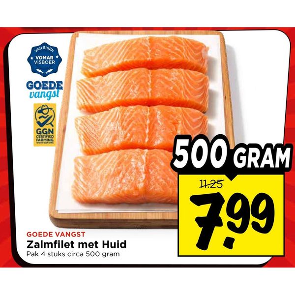 Zalmfilet met Huid