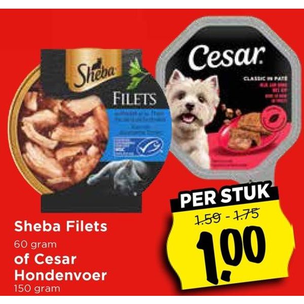 Sheba Filets of Cesar Hondenvoer