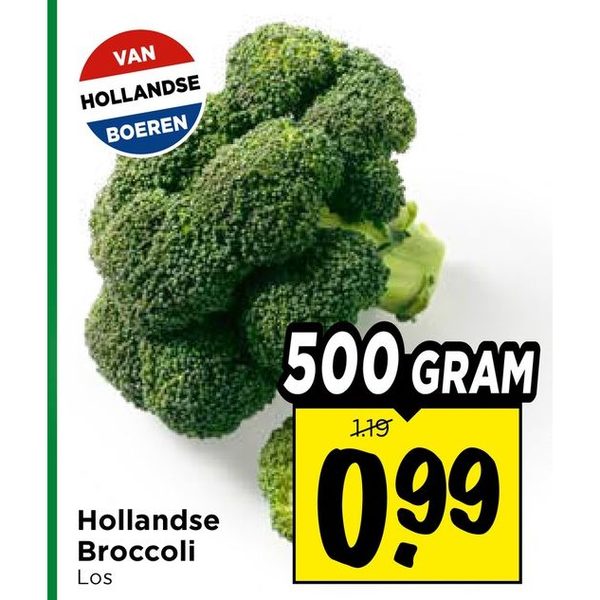 Hollandse Broccoli