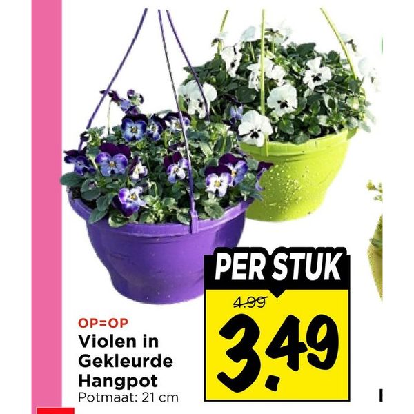 Violen in Gekleurde Hangpot