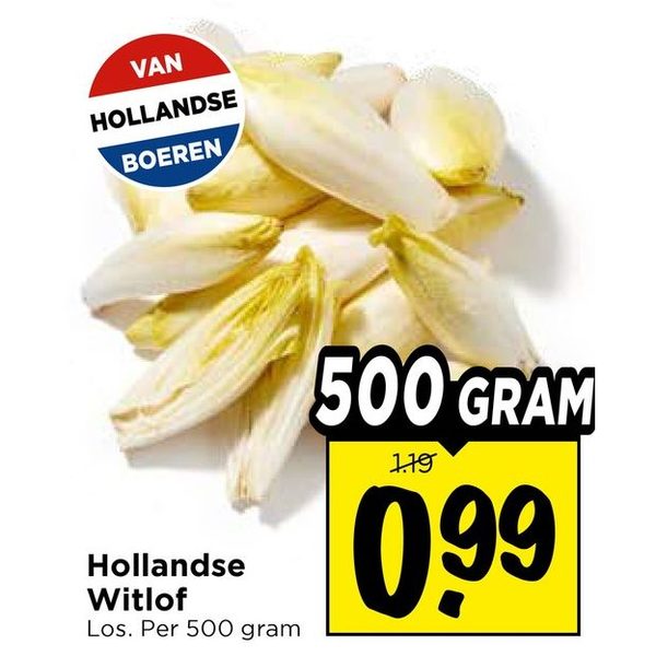Hollandse Witlof