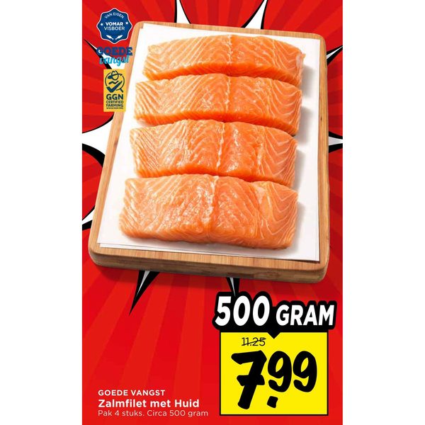 Zalmfilet met Huid