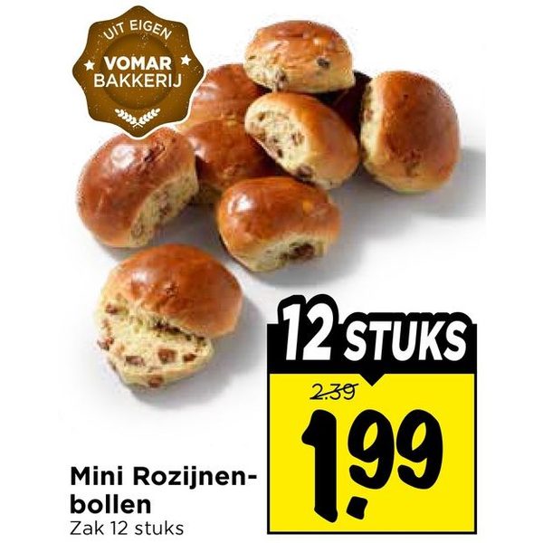 Mini Rozijnenbollen