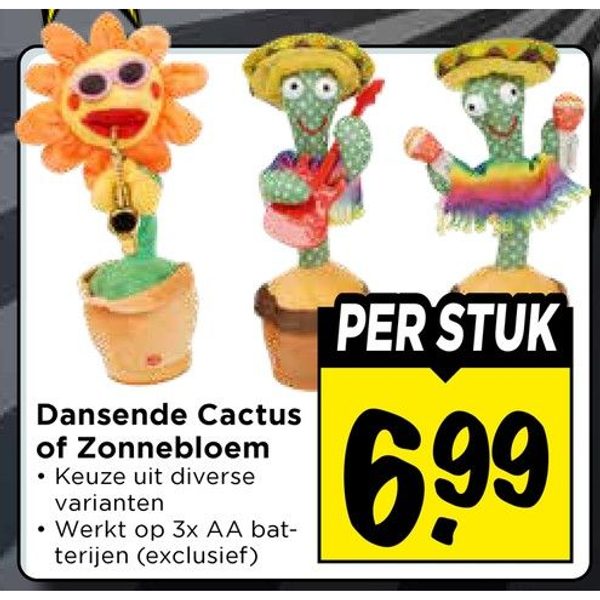 Dansende Cactus of Zonnebloem