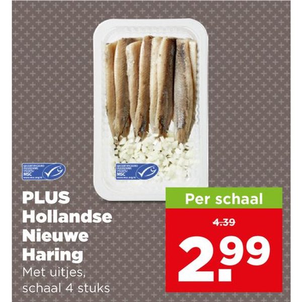 PLUS HOLLANDSE Nieuwe Haring
