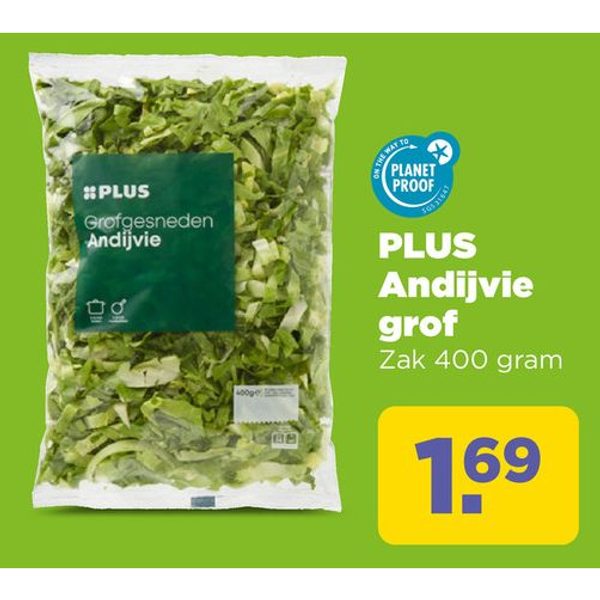 PLUS Andijvie grof