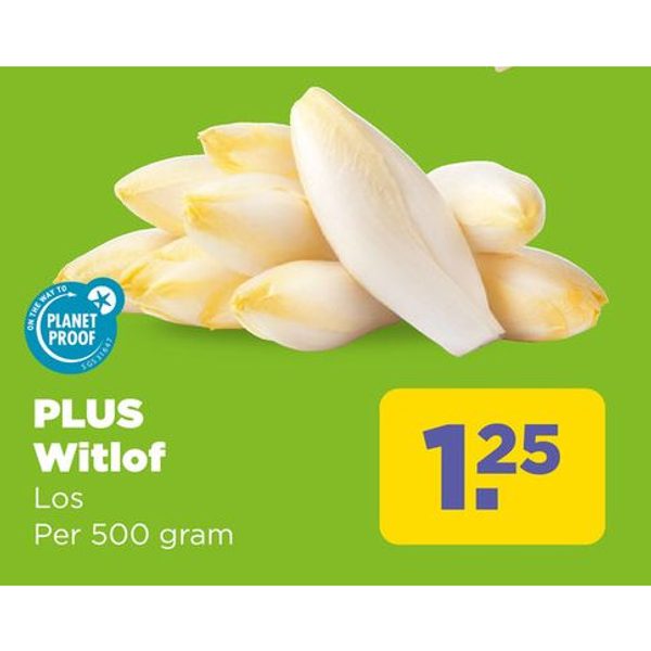 PLUS Witlof