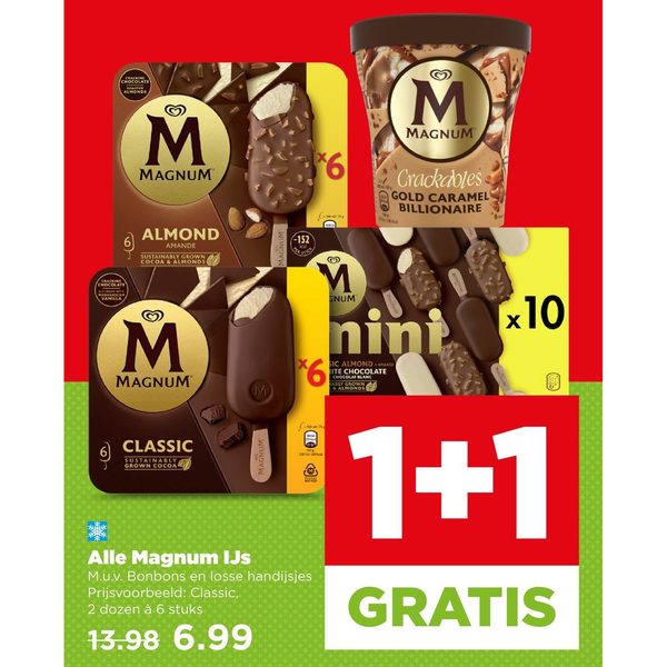 Alle Magnum IJs