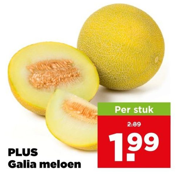 PLUS Galia meloen