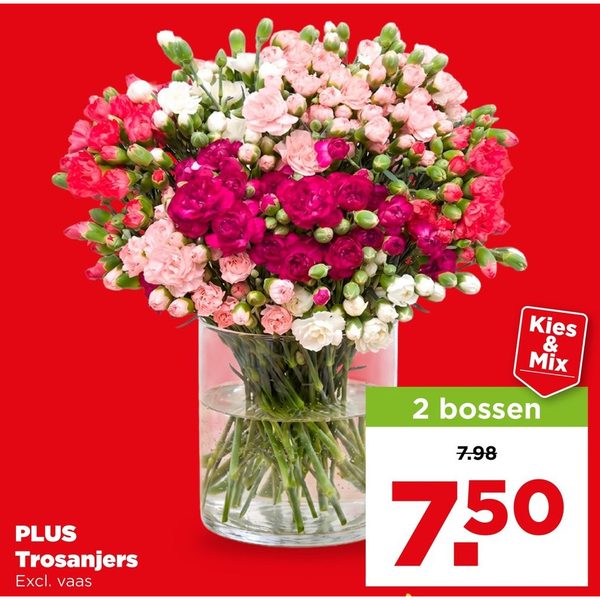 PLUS Trosanjers