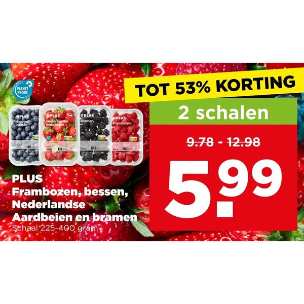 Frambozen, bessen, Nederlandse Aardbeien en bramen